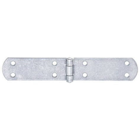 GAH Alberts Kistenband mit vernietetem Stift, L 200mm Edelstahl matt