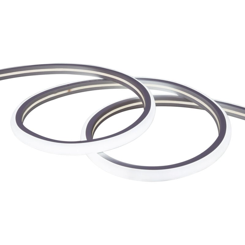 Ruban LED Néon Dimmable 220V Blanc Froid Semi-Circulaire 180 7.5W/m Coupe 100cm IP67 Sur mesure 5 m