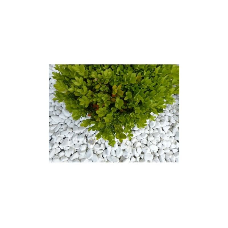 Classgarden - Galet Blanc Brillant 12-24 Pack de 25 M² - 50 sacs - 1000 kg