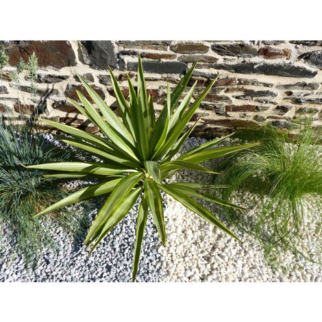 Galet Gris calibre 6-12 mm