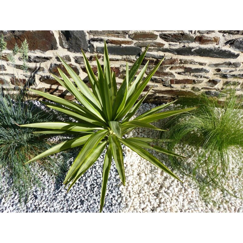 Galet Gris Clair 6-12 sac 20 Kg