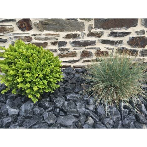 Galet Noir Brillant calibre 40-60