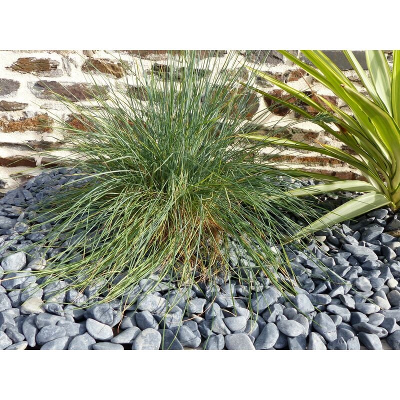 Galet Noir Mat 12-24 Pack de 10 M² - 20 sacs - 400 kg