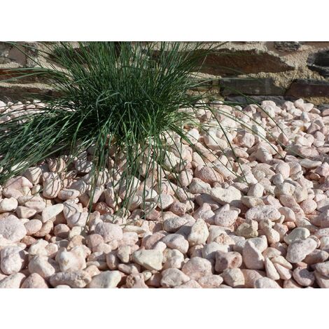 Galet Rose calibre 12-24 mm