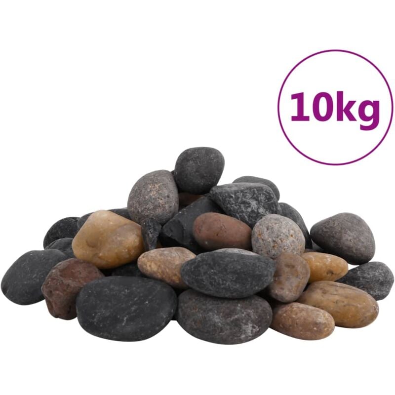 Vidaxl - Galets polis 10 kg multicolores 5-8 cm