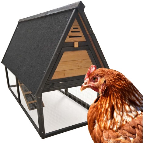 Gallinero corral jaula gallinas pollos cría aves espacio zona abierta palo nidos