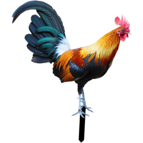 Gallo Paletto da Giardino Ornamento di Pollo Statua di Animale da Giardino per Prato da Cortile, 21,5 x 25 cm