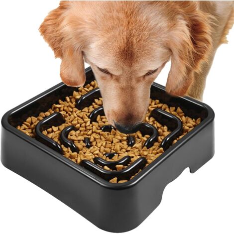 Gamelle anti-avalage pour chien - Gamelle pour chien -