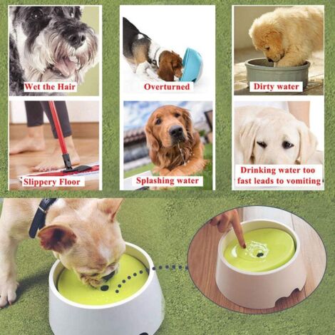Gamelle anti-éclaboussures pour chiens, 2 en 1 innovante anti-éclaboussures, anti-poussière, anti-hirondelle, anti-éclaboussures, anti-goutte, bol lent pour chiens et chats.