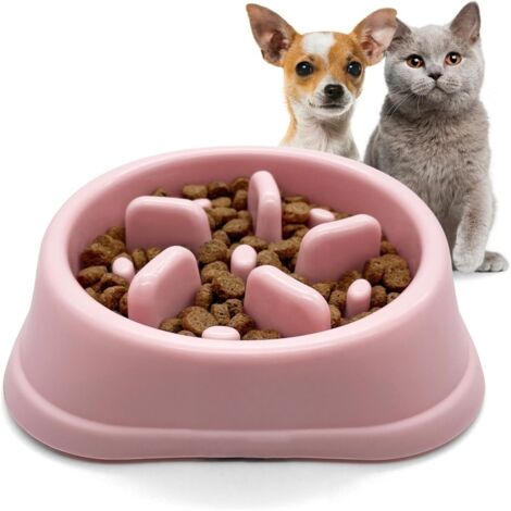 Gamelle anti - glouton pour chat et petit chien