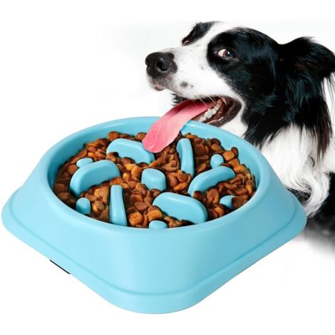 Gamelle anti-glouton pour chien