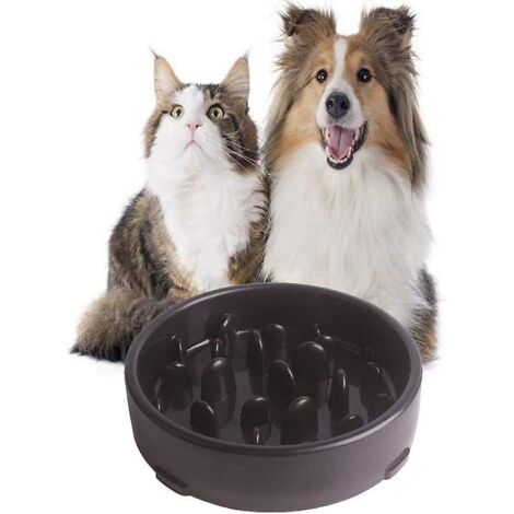 Gamelle anti-glouton pour chien. Gamelle anti-glouton pour chien. Distributeurs de nourriture et d'eau pour chien. Favorise une alimentation saine.