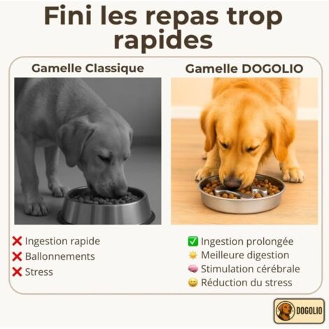 Gamelle Anti-glouton pour Chien I Acier INOX 304 I Slow Feeder Bowl 22 cm