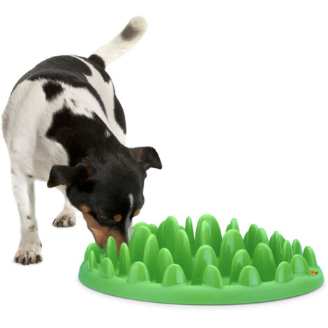 Gamelle plateau anti glouton 40 cm pour chien - Flamingo