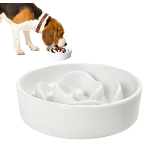 Gamelle pour chien à alimentation lente - Jeu d'alimentation