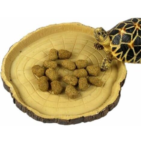 Gamelle Reptile Petit Modèle – gamelle, Bol d’Eau, Bol à Nourriture pour Les Reptiles, Les Geckos, Les Tortues, Les Serpents - Accessoires terraristiques (Souche)