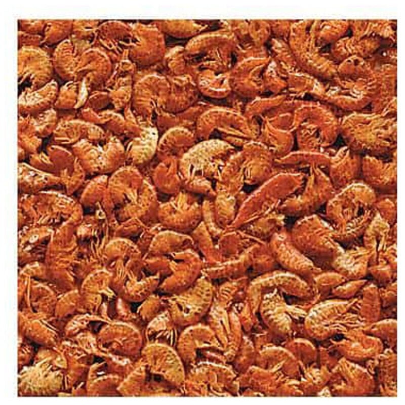 Gammarus, Aliment Naturel pour Aquariophilie 100 g Pour tortues d'eau Animallparadise