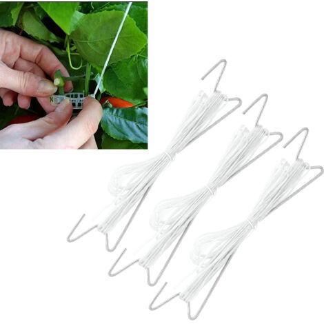 Ganchos de soporte para tomates [10 unidades] - Ganchos de hierro para jardín con 10 metros de cuerda para plantas trepadoras