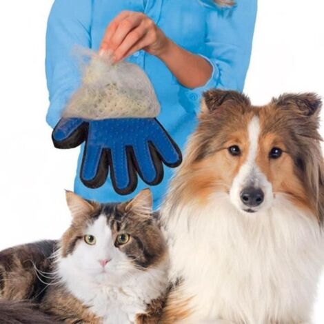Gant de Toilettage massage brossage Chien chat animaux à poil - PROMO 