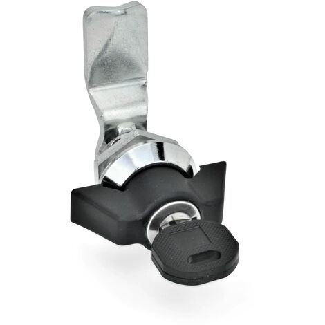Ganter Norm elementi GN 115 sck 20 – Cilindro Serratura con chiave, 1 pezzi, nero, opaco