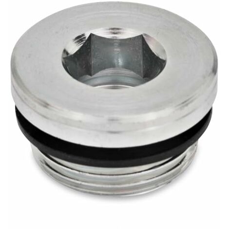 Ganter Norm elementi GN 749 di M8 x 1 di a – Chiusura viti, 10 pezzi, argento, argento, GN 749-M16X1,5-A