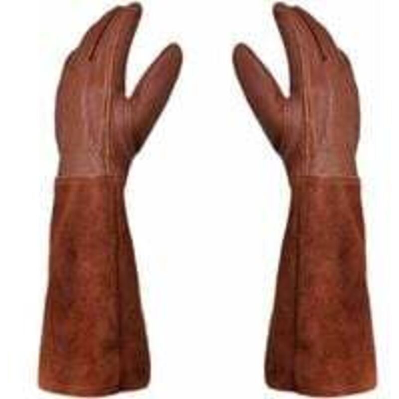 Gants de jardinage - Paire de gants de jardinage - Protection en cuir - Gants de jardinage et de travail Thorn and Bramble --Marron--M