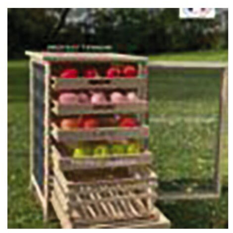 Garde-manger en bois de hêtre pour fruits et légumes – Dimensions 50x59x81 cm – Toile moustiquaire pour protection – Alternative économique – Masy
