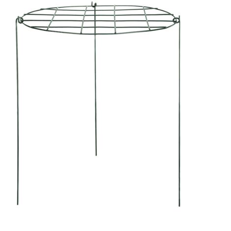 Garden Grid Shaped Iron Metal Plant Stand Strawberry Stand Plant Support Stake