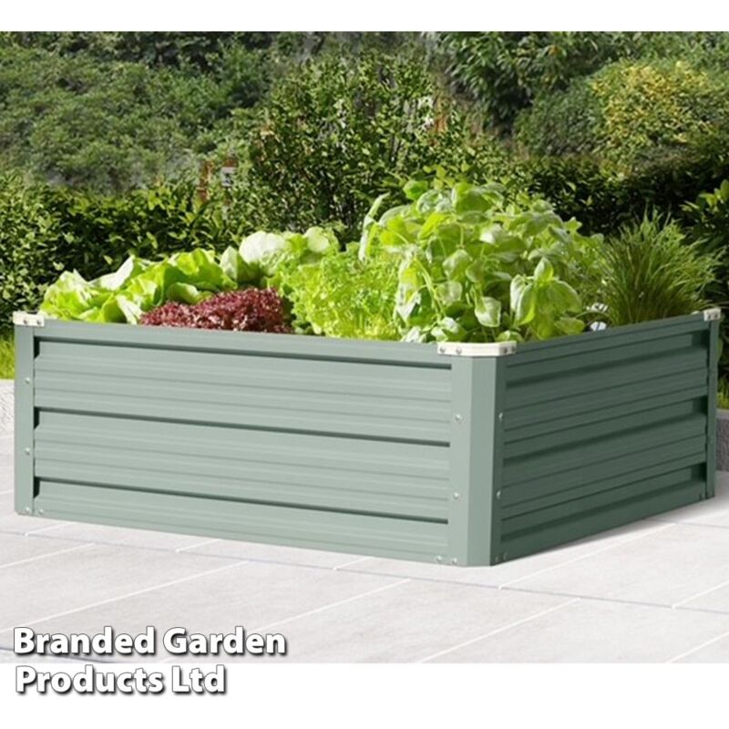 Thompson&morgan - Garden Metal Raised Vegetable Planter in Sage Green Outdoor Flower Trough Herb Grow Bed Box (Small 60x60cm x1)