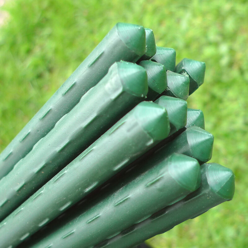 Gardenskill - Plant Stake Bundle - 0.75m Long x 11mm ø (pack of 20)