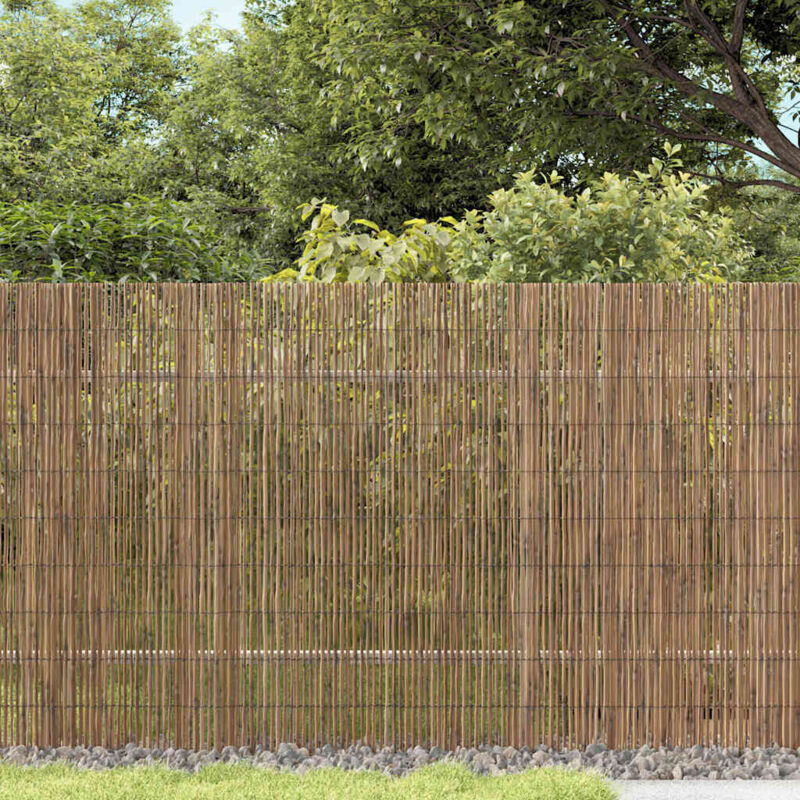 Reed Fence Folding Brown 500 X 160 Cm Reed Vidaxl