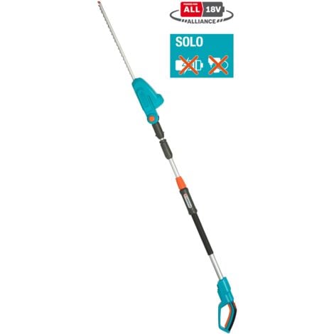 Élagueur Taille-Haie Télescopique 2-en-1 20V - Perche Extensible 4m, Batterie Li-ion 4Ah Incluse