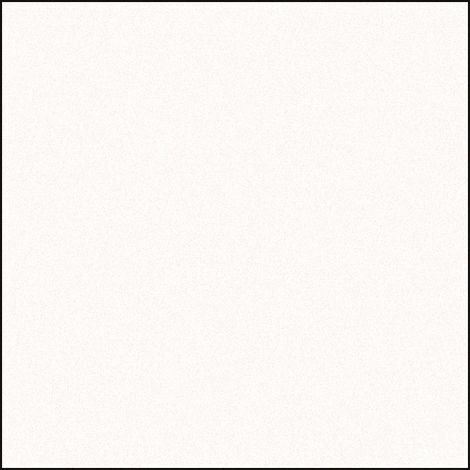 Gardinia Flächenvorhang Uni weiß, 60 x 245 cm Flächenvorhänge