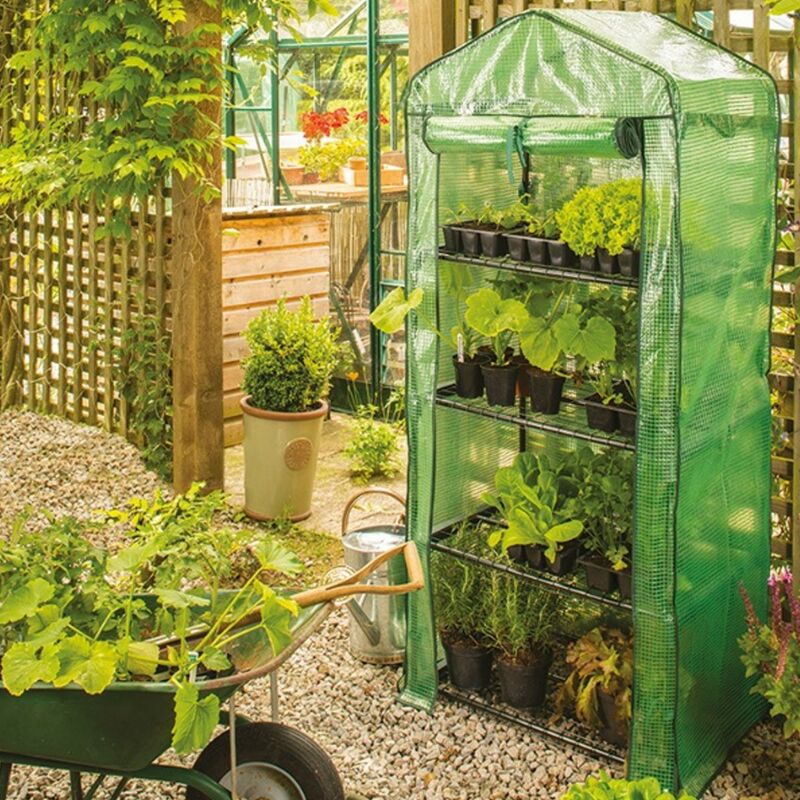 08743 4 Tier Mini Compact Growhouse Garden Greenhouse With Cover - Gardman