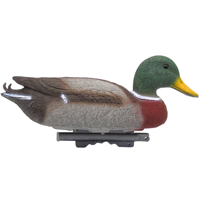 Ubbink - Canard sauvage mâle