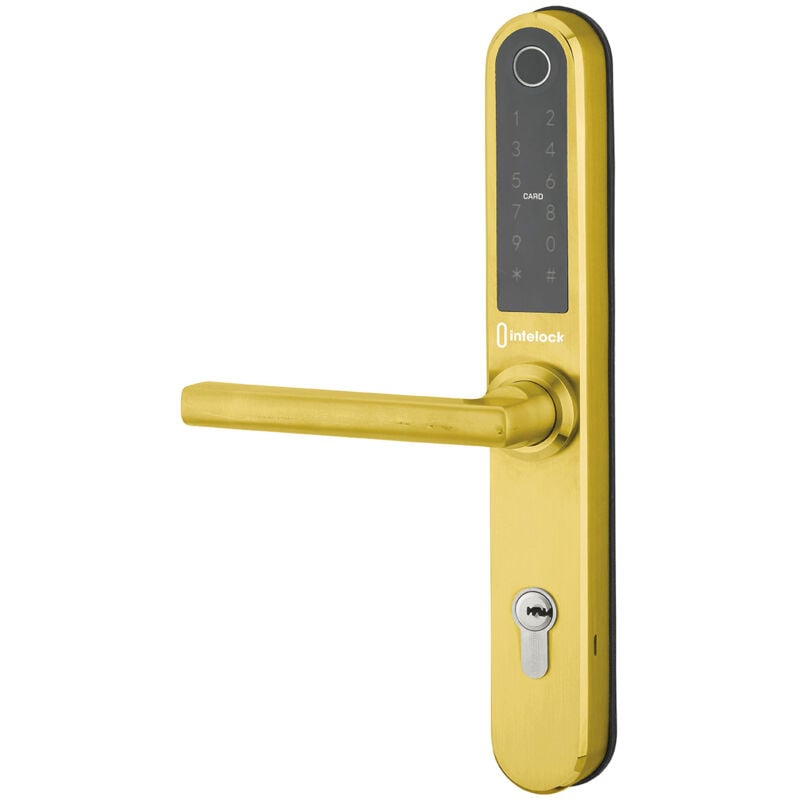 Paire de poignées connectées Intelock Multi, pour porte d'entrée, entr'axes 70mm, dorée