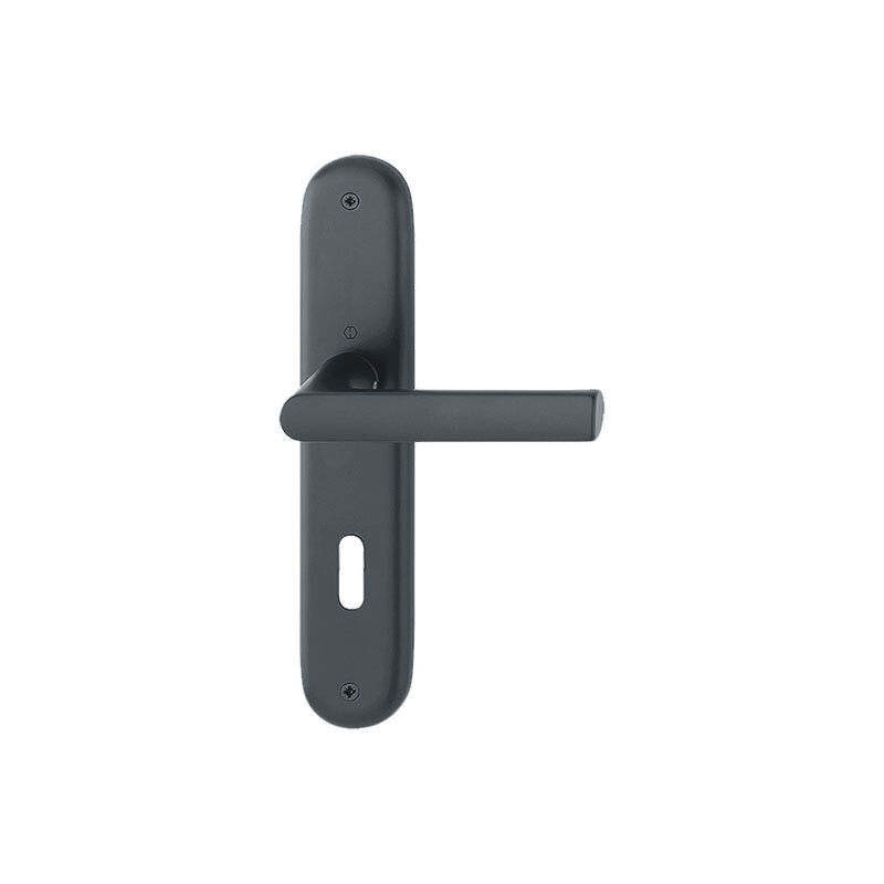 Hoppe - Garniture hamburg sur plaques - Percement : Clé bb/l