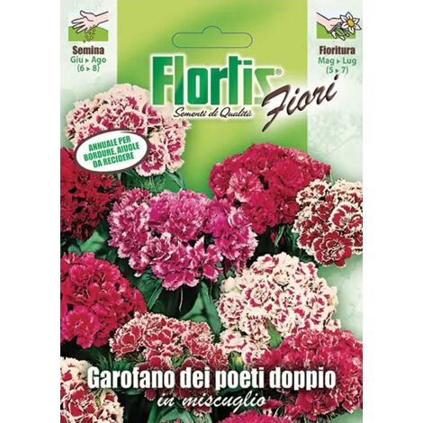 GAROFANO DEI POETI DOPPIO MIX