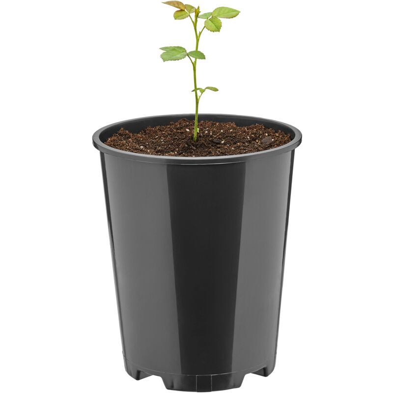 Garronda Blumentopf Rund Kunststoff Ø11 X 13, 5 Cm (1l) Mit Drainagelöchern Pflanztopf Robustes Pp Pflanzgefäß Für Garten Gewächshaus Balkon