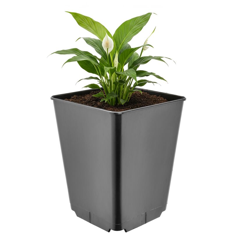 Garronda Pflanztopf Kunststoff Hoch 16 X 16 X 20 Cm (3, 5l) Eckig Mit Drainagelöchern Blumentopf Pp Pflanzgefäß Für Garten Gewächshaus Balkon