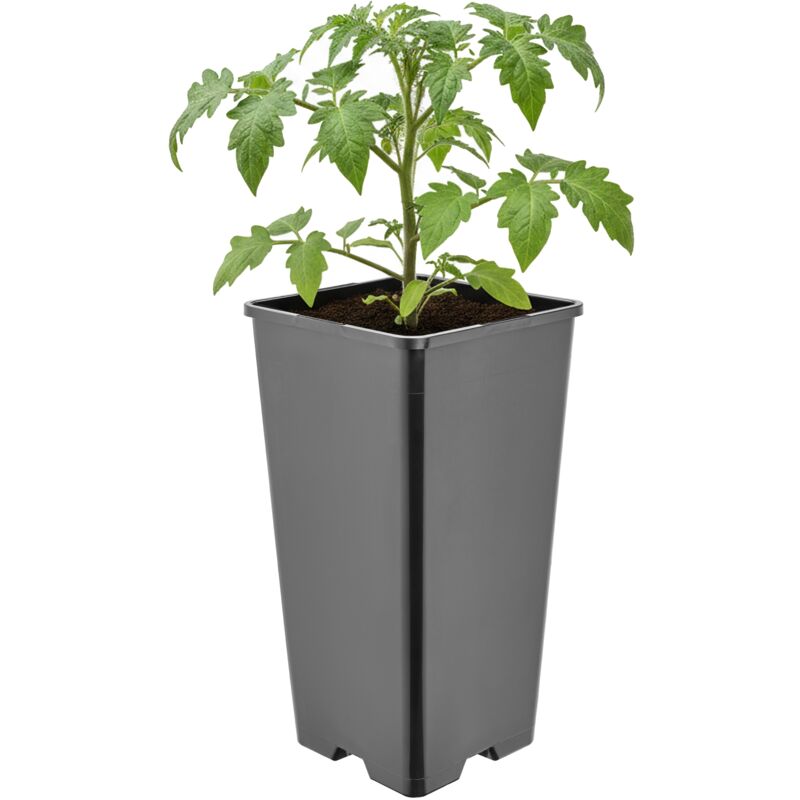Garronda Pflanztopf Kunststoff Hoch 11 X 11 X 21, 5 Cm (2l) Eckig Mit Drainagelöchern Blumentopf Pp Pflanzgefäß Für Garten Gewächshaus Balkon