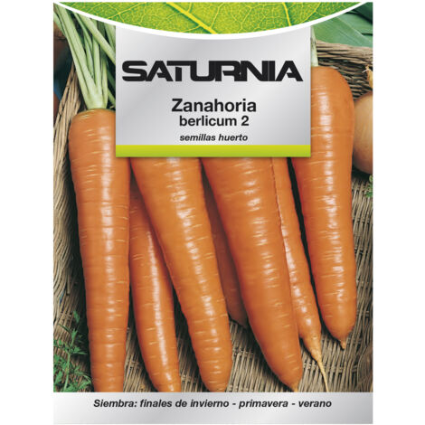 Garten-Karotten-Berlicum-Samen (1,5 Gramm)