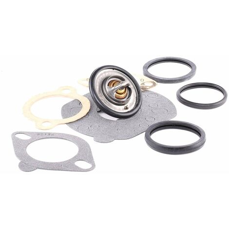 Gates TH14088G1 Termostato, Refrigerante