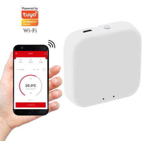 Gateway ZigBee Tuya WiFi Smart con USB e alimentatore Polux