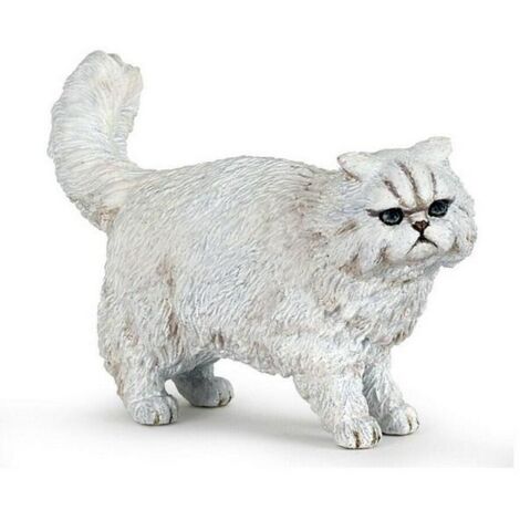 gato persa