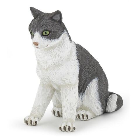 Gatto seduto