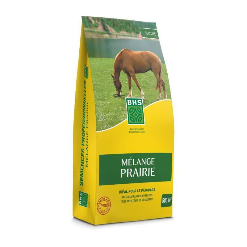 BHS - Gazon Mélange Prairie 5kg 500m² Pour zones extensives et pâturage Installation rapide, résistant, sans entreti
