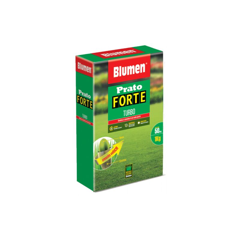 Blumen - Graines Prato Forte Turbo - 1 kg
