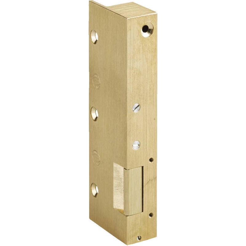 Beugnot - Gâche n°12 simple empennage droite tirant BE11511600