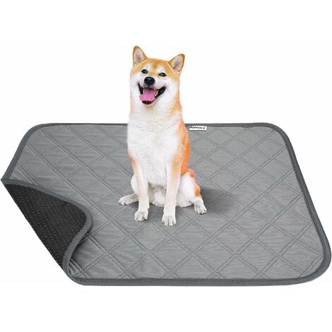 Dog Mat for Food and Water 2 Pieces Bone Shape Dog Mats Non-Slip PET  Feeding Mat for Under Dog Bowls Embroidered Microfiber PET Bowl Mat Water  Absorbent Dog Feeding Mat for Dog